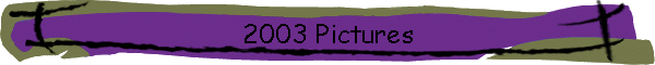 2003 Pictures