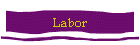 Labor