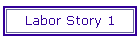 Labor Story 1