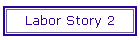 Labor Story 2