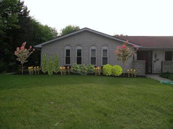 front of house daylilies.jpg (249317 bytes)